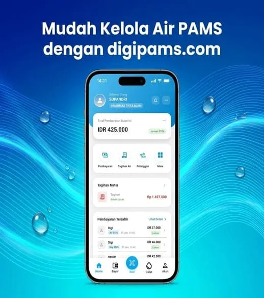 Digipams Mobile Dashboard Interface